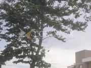 terreno à venda em Loteamento Mont Blanc Residence