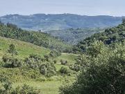 Terreno à venda em Lousa