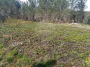 Terreno à venda em Lousada
