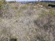 Terreno à venda em Mafra