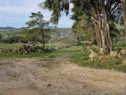 Terreno à venda em Mafra Terreno à venda em Mafra