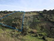 Terreno à venda em Mafra