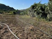 Terreno à venda em Mafra