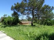 Terreno à venda em Mangualde