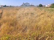 Terreno à venda em Marinha Grande