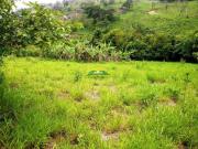 Terreno à venda em Marques