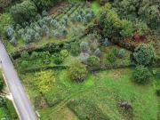 Terreno à venda em Miranda do Corvo