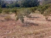 Terreno à venda em Mirandela