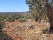 Terreno à venda em Monte Brito