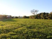 Terreno à venda em Montemor o Velho