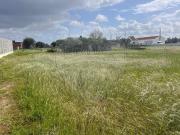 Terreno à venda em Montijo