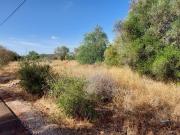 Terreno à venda em Nave dos Cordeiros