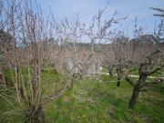 Terreno à venda em Raposos