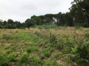 Terreno à venda em Nelas