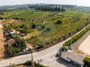 Terreno à venda em Nelas