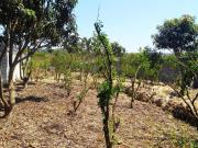 Lote / Terreno à venda em Contagem, no bairro Nossa...