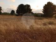 Terreno à venda em Óbidos