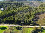 Terreno à venda em Olho Polido