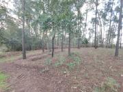 Terreno à venda em Oliveira de Azeméis