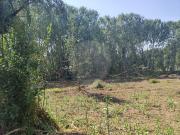 Terreno à venda em Oliveira do Bairro