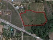 Terreno à venda em Oliveira do Bairro