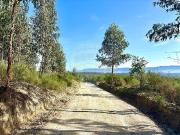Terreno à venda em Oliveira do Hospital