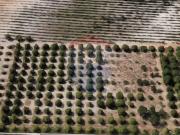 Terreno à venda em Palmela