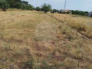 Terreno à venda em Palmela