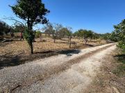 Terreno à venda em Palmela