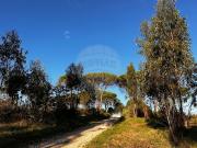 Terreno à venda em Parceiros