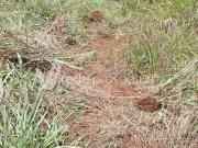 terreno à venda em Parque Bellaville