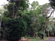 terreno à venda em Parque São Quirino