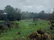 Terreno à venda em Penamacor