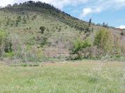 Terreno à venda em Penamacor