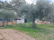 Terreno à venda em Penamacor