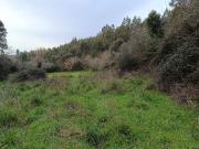 Terreno à venda em Penela