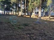 Terreno à venda em Pinheirinho