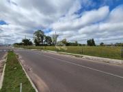 Terreno à venda em Pinheiro Machado