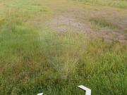 Terreno à venda em Pombal