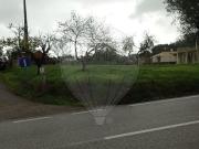 Terreno à venda em Pombal