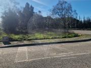 Terreno à venda em Pombal