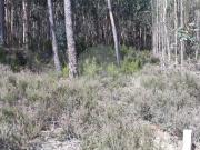 Terreno à venda em Pombal
