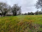 Terreno à venda em Pombal