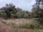 Terreno à venda em Pombal