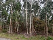 Terreno à venda em Pombal