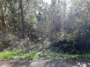 Terreno à venda em Pombal