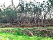 Terreno à venda em Pombal