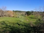 Terreno à venda em Pombal