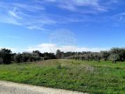 Terreno à venda em Pombal