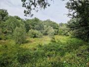 Terreno à venda em Pombal